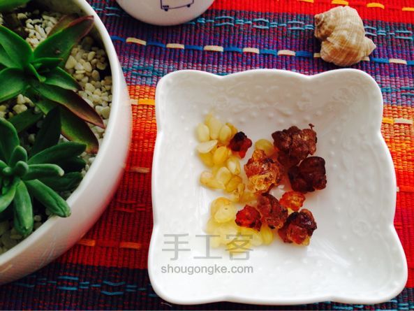 午后炖品--桃胶皂角米甜汤 制作方法 第1步