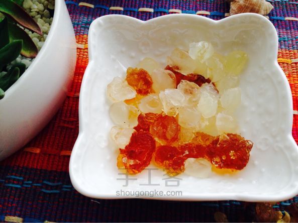 午后炖品--桃胶皂角米甜汤 制作方法 第2步