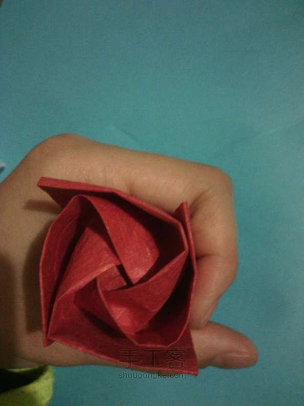 纸折川崎玫瑰 折纸教程 第13步