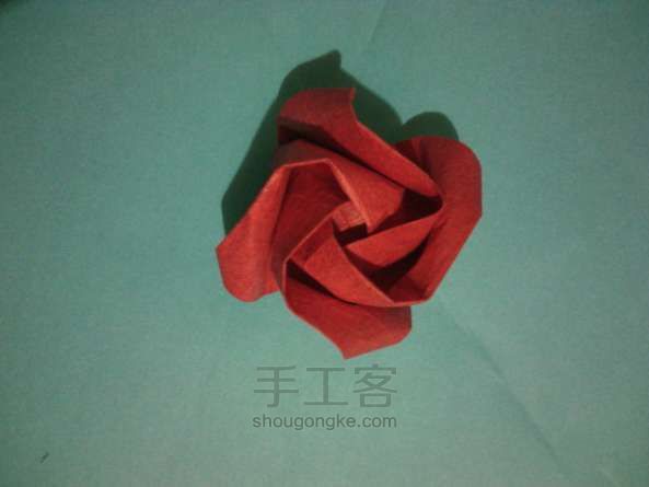 纸折川崎玫瑰 折纸教程 第17步
