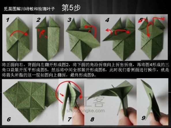 玫瑰叶子 折纸教程 第5步