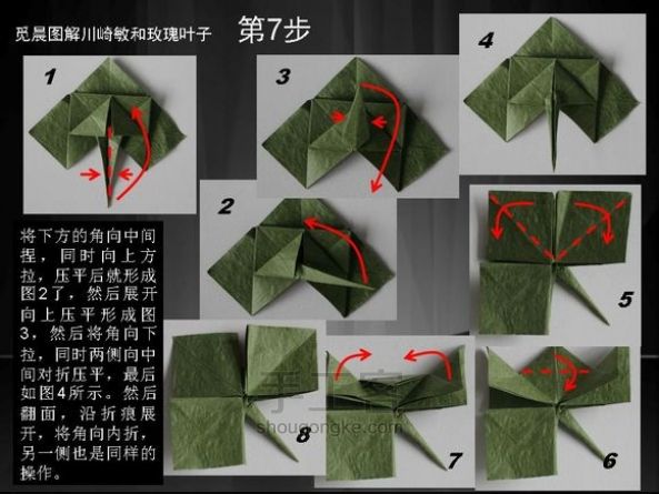 玫瑰叶子 折纸教程 第7步