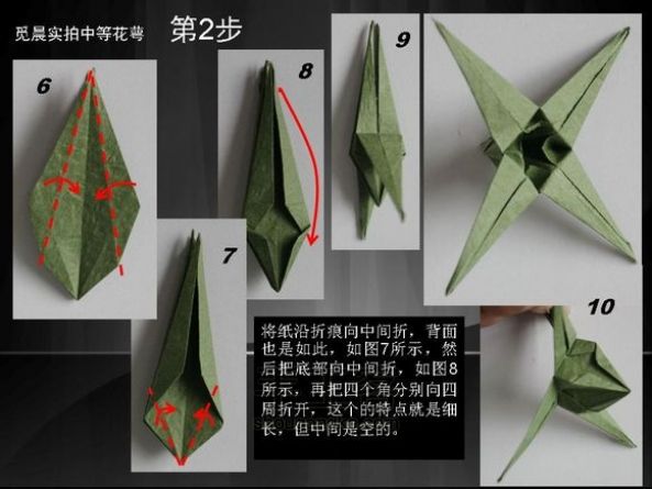 中等花萼 折纸教程 第2步