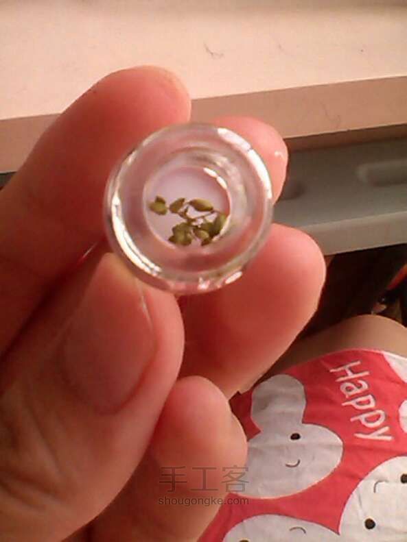 假植物项链 第7步