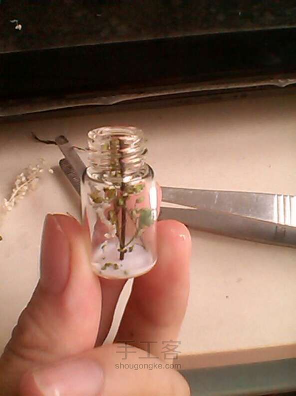 假植物项链 第14步