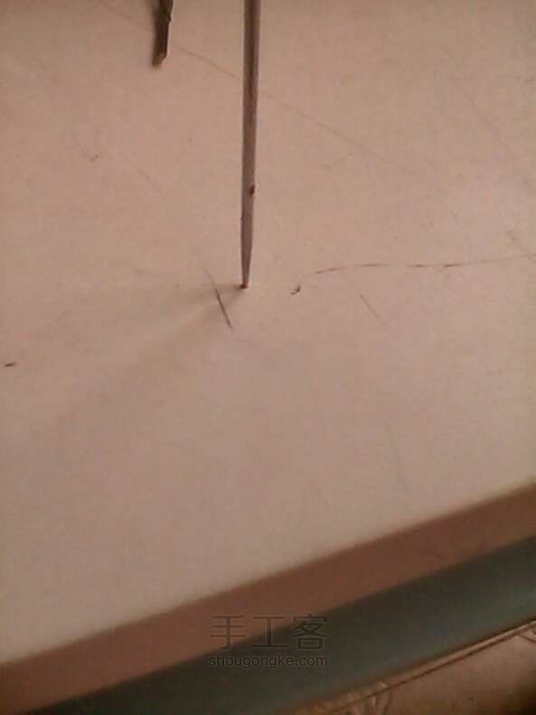 假植物项链 第19步