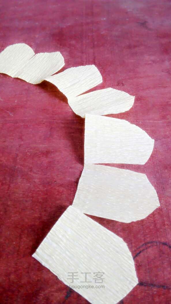 花中之王——牡丹 折纸教程 第8步