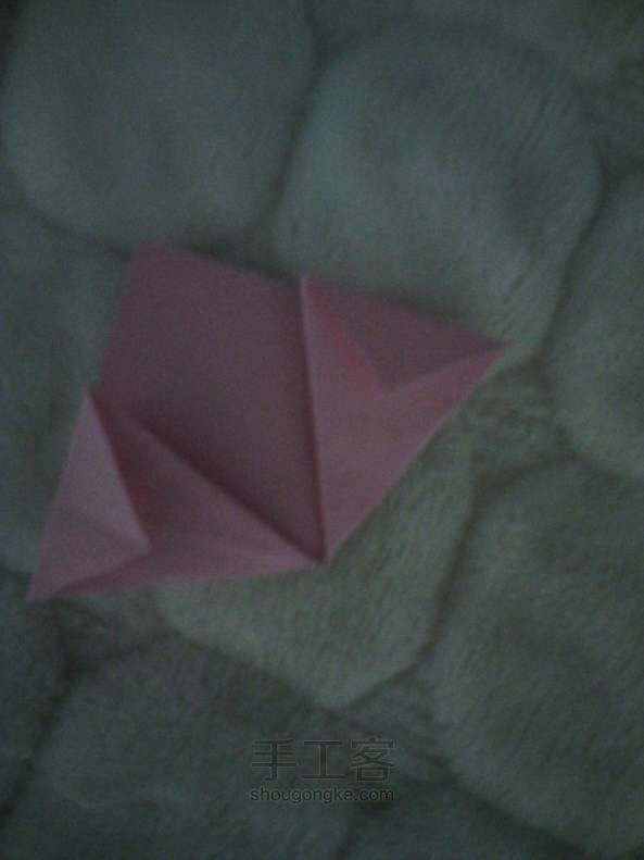 折纸教程 可爱的樱花(=^_^=) 第10步
