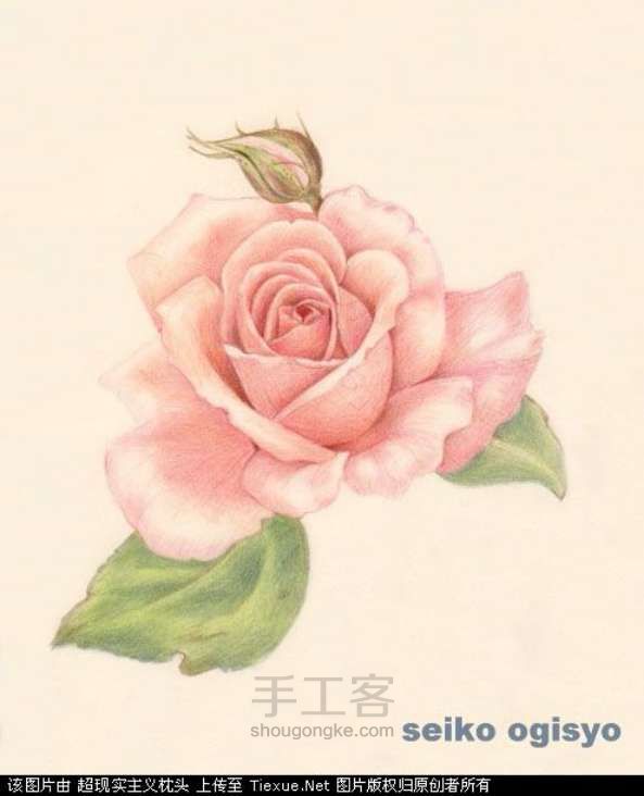 花心叶语—唯美山茶 第1步