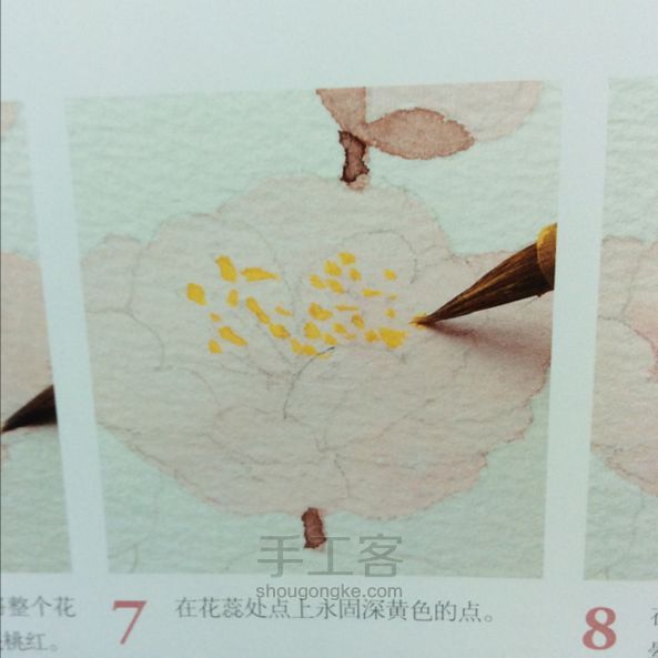瑶瑶水粉主义—教你画春天的庭院：梅花（摘抄） 第10步