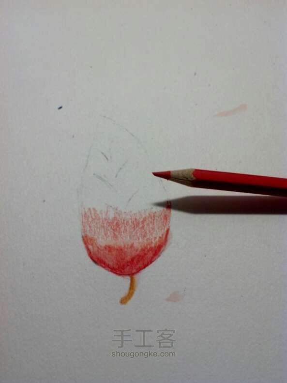 水溶性彩色铅笔•手绘树叶 第16步