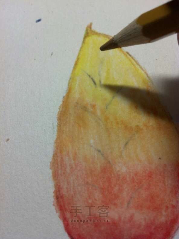 水溶性彩色铅笔•手绘树叶 第26步