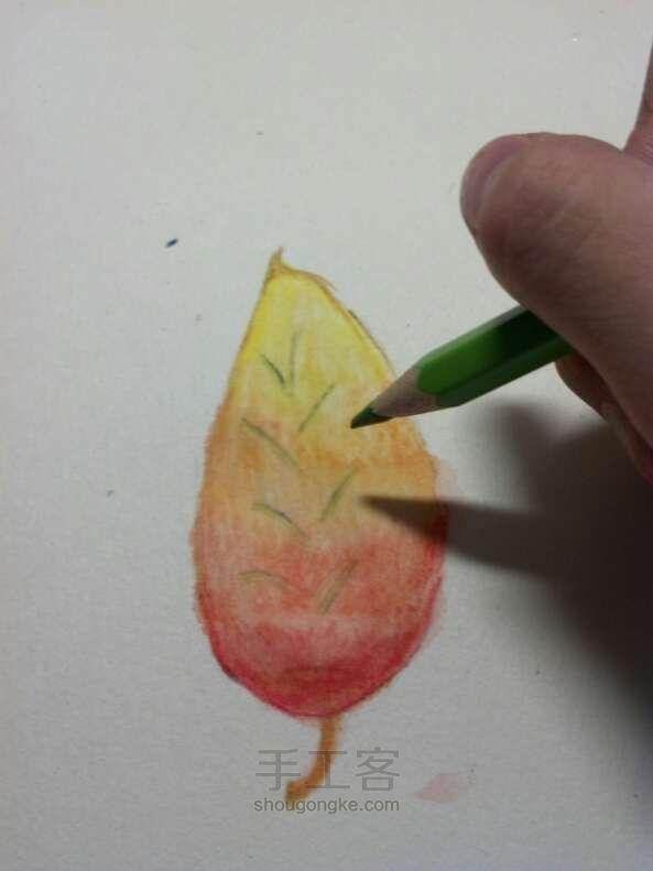 水溶性彩色铅笔•手绘树叶 第27步