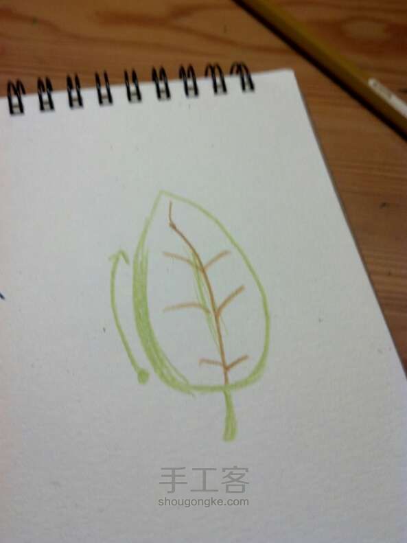 水溶性彩色铅笔•手绘树叶 第29步
