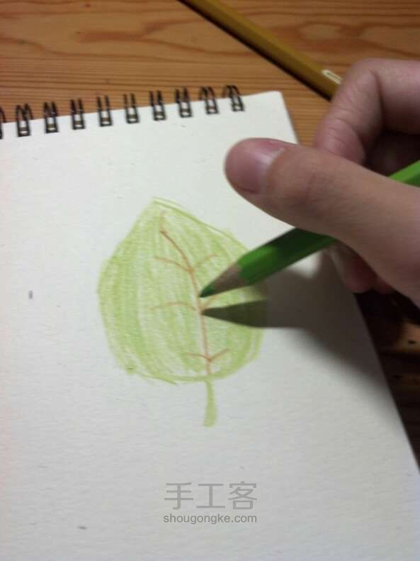 水溶性彩色铅笔•手绘树叶 第30步