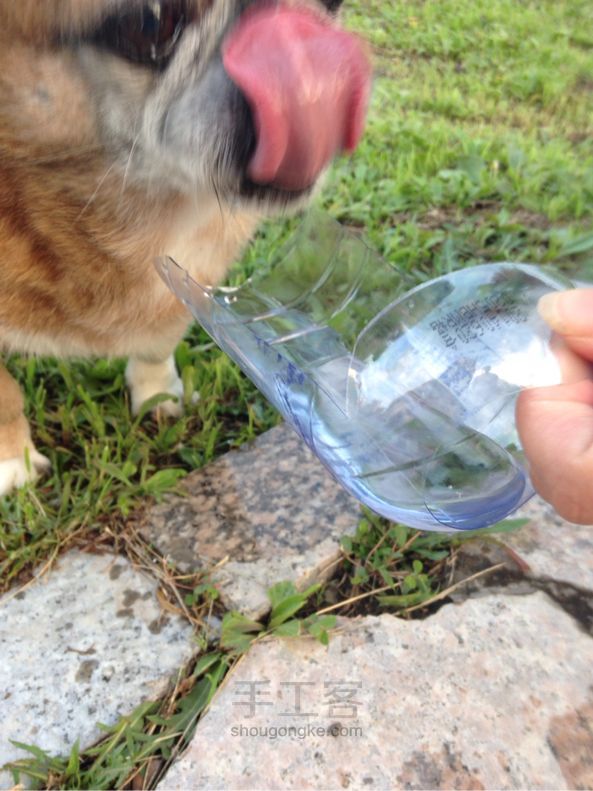 矿泉水瓶改造小狗外带喝水器 第9步