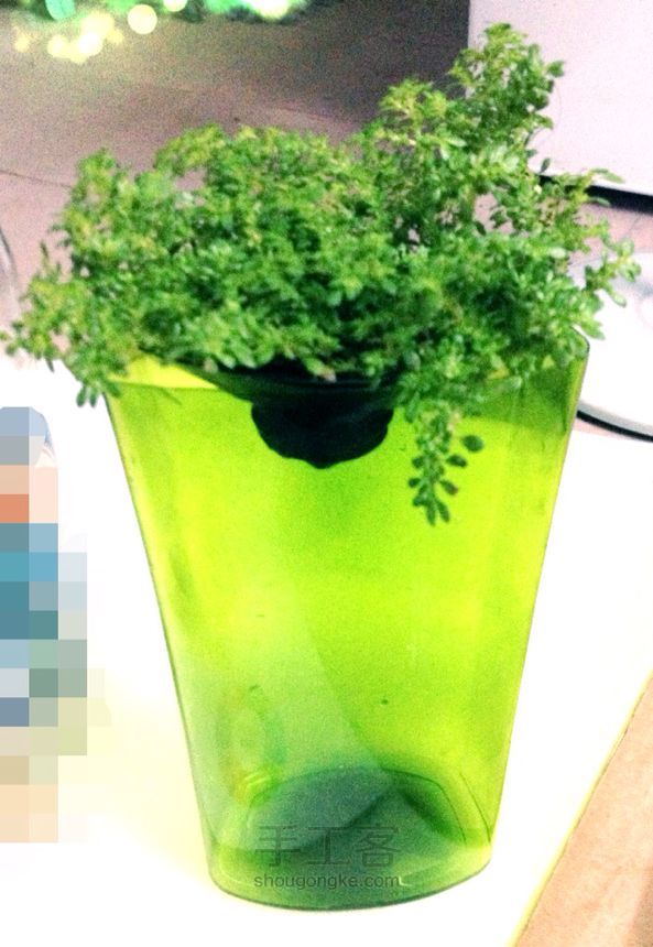 废物利用DIY🎍 沐浴露瓶种盆栽 第2步