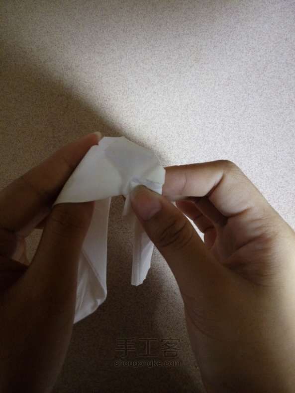 纸巾玫瑰折叠方法 第10步