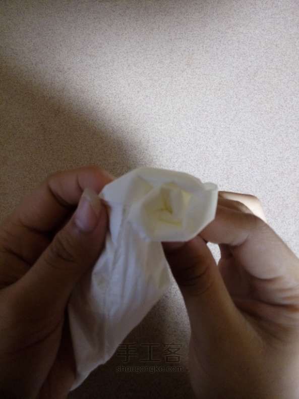纸巾玫瑰折叠方法 第12步