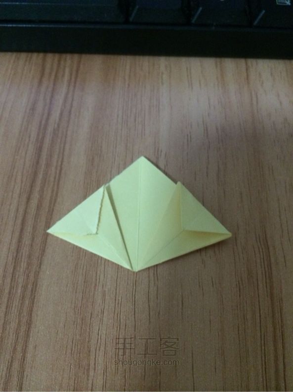 简易樱花折纸教程 第9步