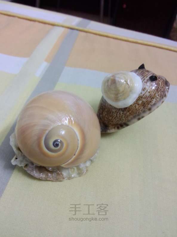 「两只乌龟」海贝壳的DIY 第11步