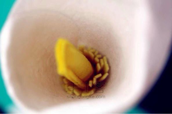 超容易上手的布一样的马蹄莲 不织布DIY 第9步