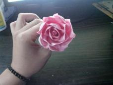 七夕送玫瑰，爱情么么哒。