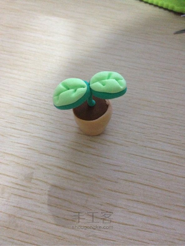 超轻粘土的小盆栽DIY 第15步