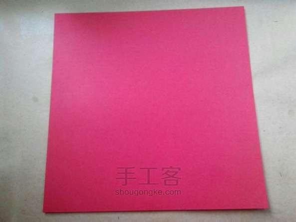 德国玫瑰教程 第1步
