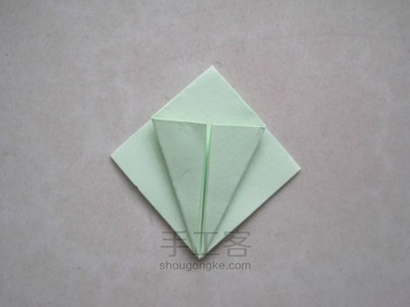 折纸教程：孔雀 第12步