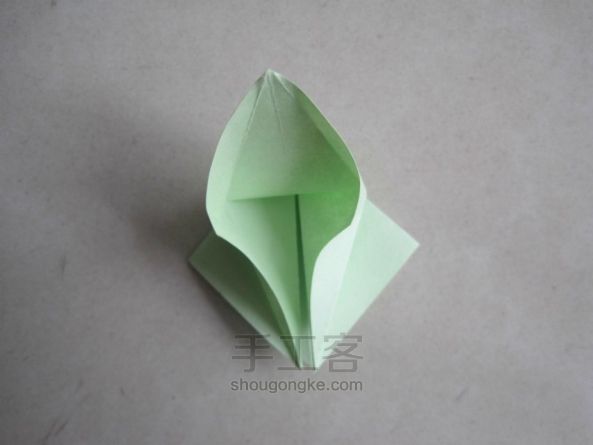 折纸教程：孔雀 第15步