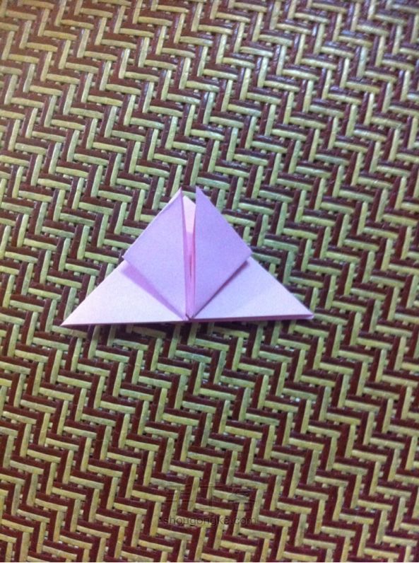 简单漂亮的蝴蝶 折纸教程 第5步