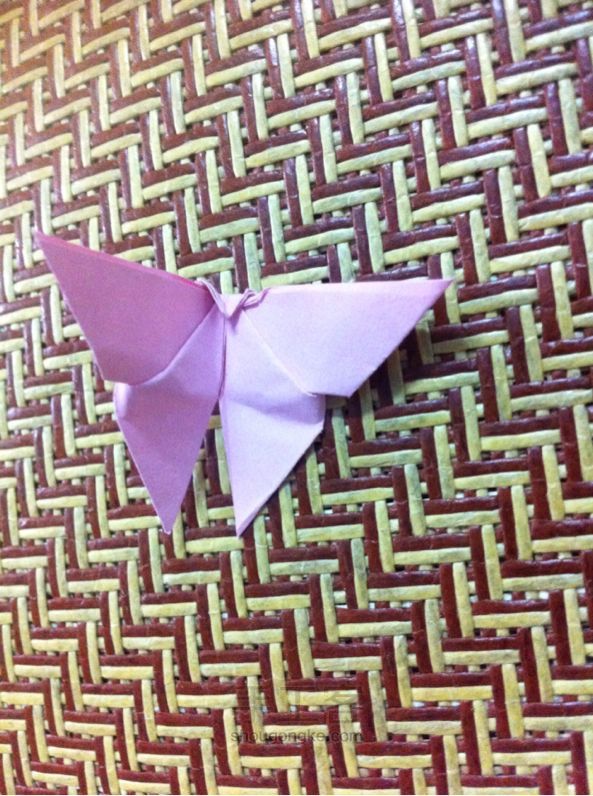 简单漂亮的蝴蝶 折纸教程 第9步