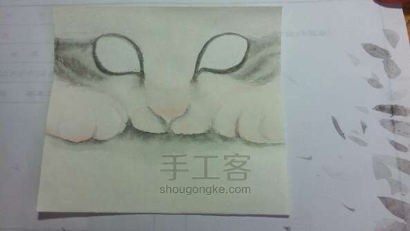 『萌猫』兔纸的水彩教程 第8步
