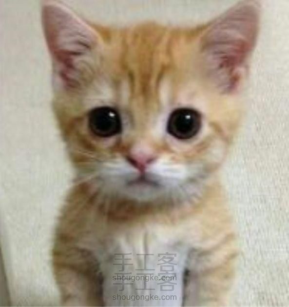 戴猫的帽子 不织布教程