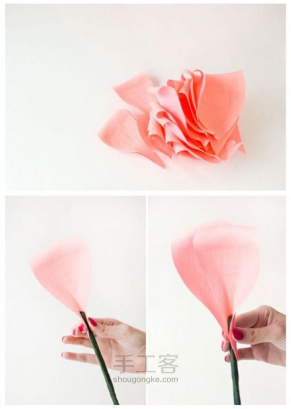 手工制作巨型纸玫瑰 第3步