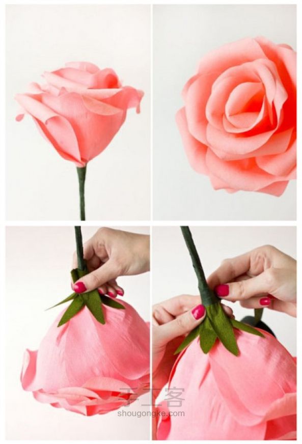 手工制作巨型纸玫瑰 第5步