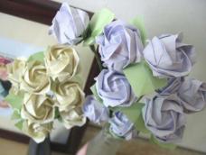 《越狱》中Michael送给Sara的那个动人的纸玫瑰，其实本名叫做川崎玫瑰，以其发明者 Toshikazu Kawasaki 先生命名。非常逼真漂亮的玫瑰花形，一大把插在瓶中，几可乱真 。