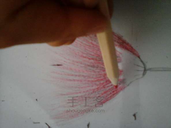 教你用彩铅使合欢花活在纸上 彩铅绘画教程 第8步