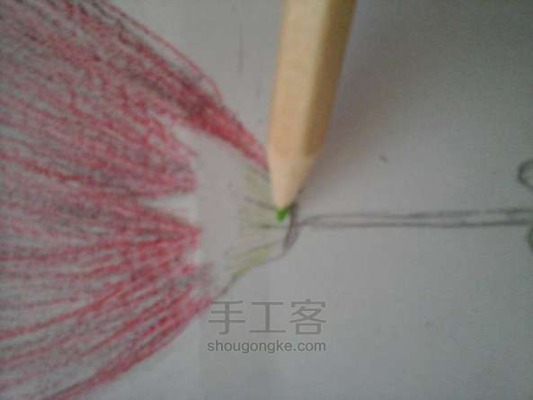 教你用彩铅使合欢花活在纸上 彩铅绘画教程 第10步