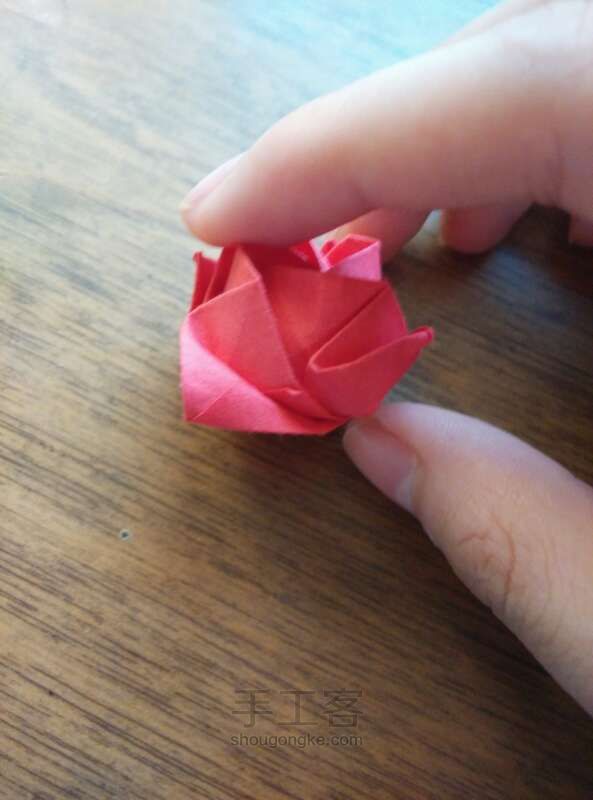 川崎玫瑰整形教程 折纸方法 第16步