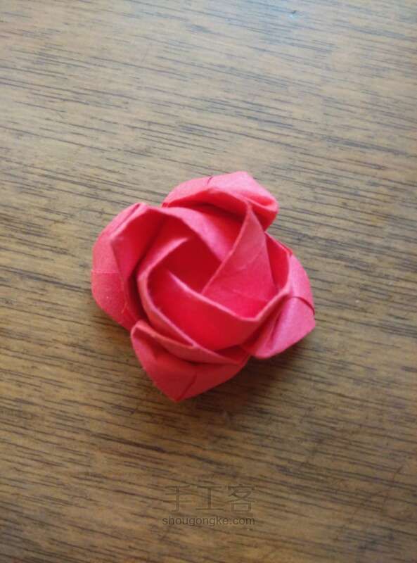 川崎玫瑰整形教程 折纸方法 第17步