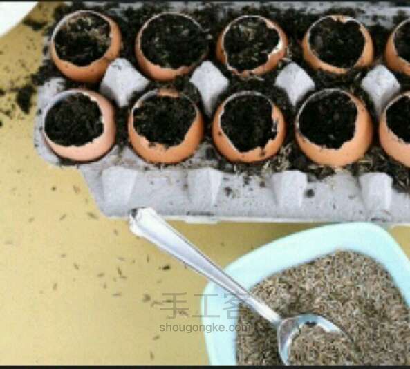 鸡蛋壳盆栽DIY 第1步