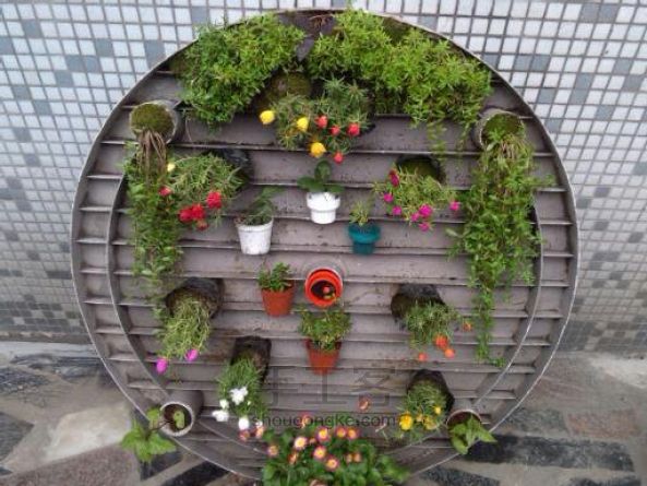 闲置花园桌打造一面花的墙 DIY手工制作方法 第7步