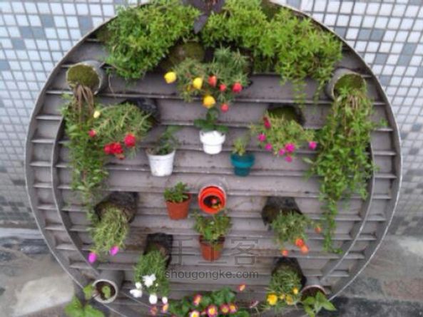 闲置花园桌打造一面花的墙 DIY手工制作方法 第8步