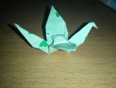 教你折一个漂亮的纸鹤