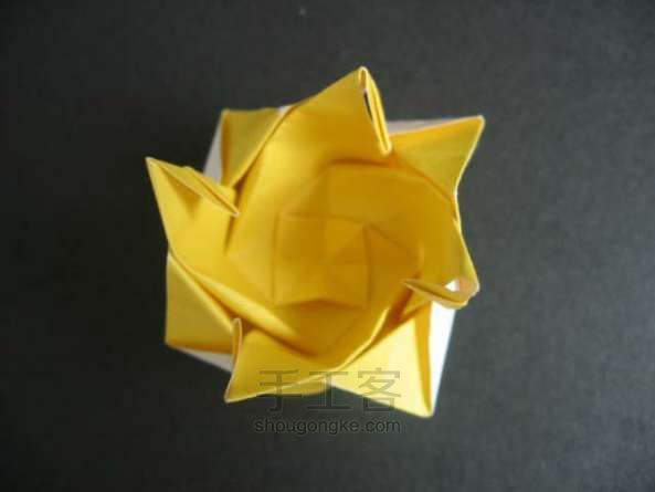 玫瑰花折纸方法 第46步