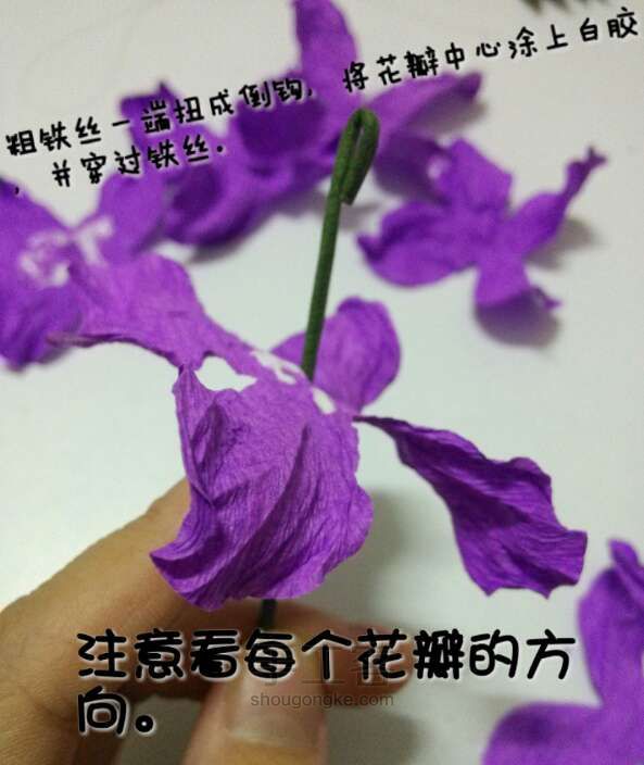 美美的芍药花制作方法 第6步