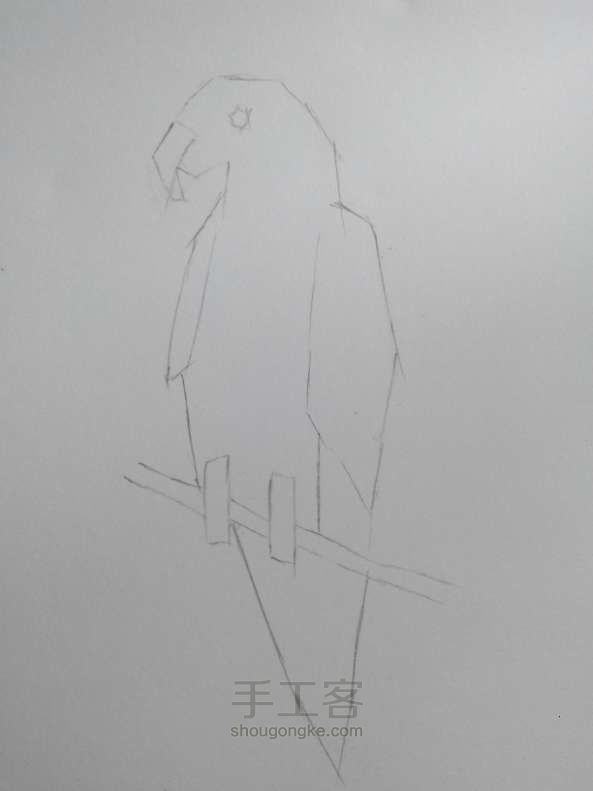 金刚鹦鹉绘画教程 第1步