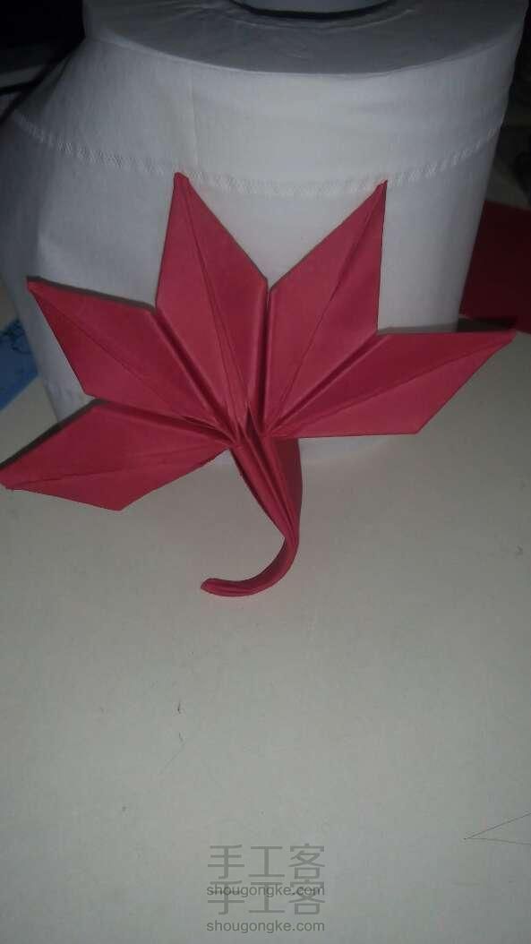 折纸：枫叶